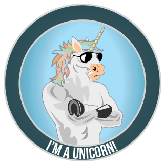 Team Unicorn